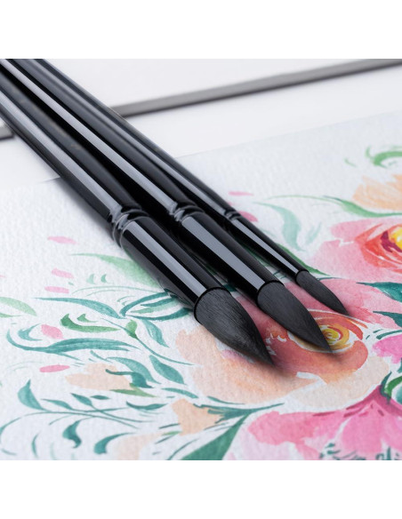 Set de 10 Pinceles de Acuarela Transon Profesionales