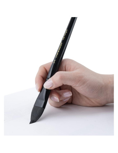 Set de 10 Pinceles de Acuarela Transon Profesionales