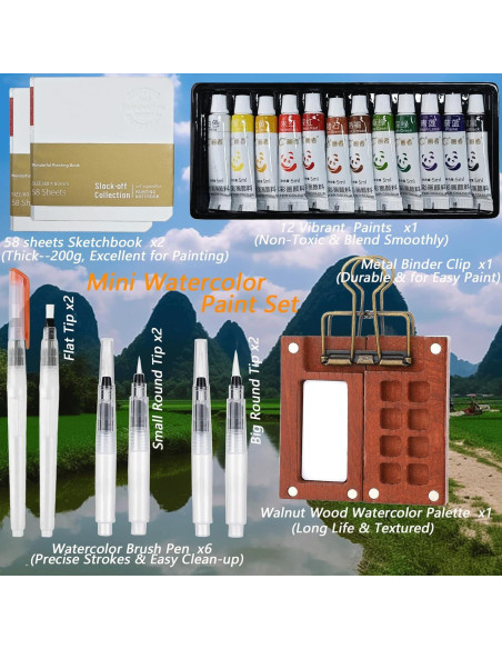 Juego de Acuarelas Portátil Dingshengjie WC01 - 12 Pinturas y Paleta