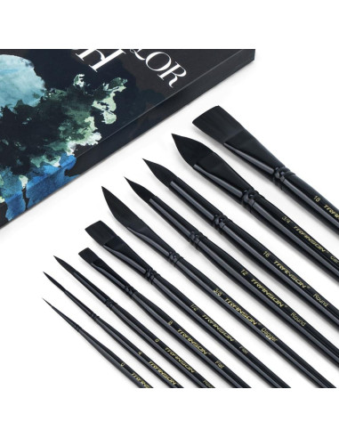 Set de 10 Pinceles de Acuarela Transon Profesionales