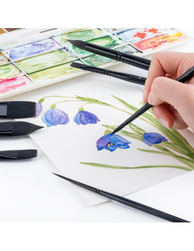 Set de 10 Pinceles de Acuarela Transon Profesionales