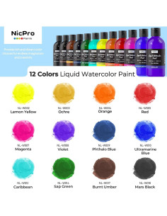 Juego de Pintura Acuarela Líquida Nicpro 12 Colores 250 ml 2