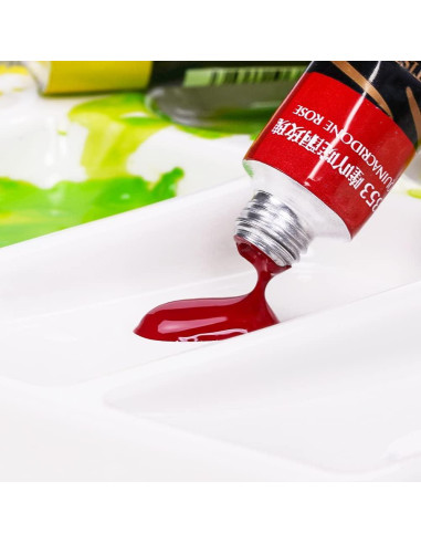 Juego de Pintura Acuarela Paul Rubens 36 Colores 5 ml Artista