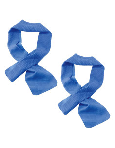 Ergodyne Chill-Its 6603 Envoltura Refrigerante Cuello 2 Piezas Azul