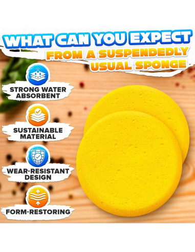 12 Esponjas de Cerámica LIBERHAUS 7.1 cm para Pintura y Limpieza