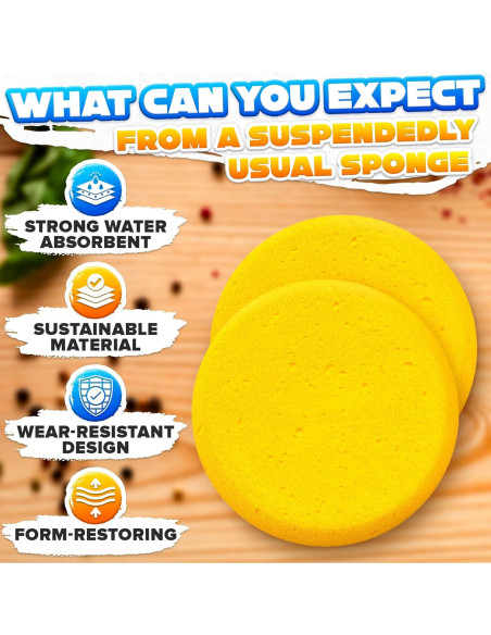 12 Esponjas de Cerámica LIBERHAUS 7.1 cm para Pintura y Limpieza