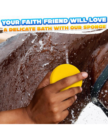 12 Esponjas de Cerámica LIBERHAUS 7.1 cm para Pintura y Limpieza