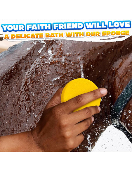 12 Esponjas de Cerámica LIBERHAUS 7.1 cm para Pintura y Limpieza