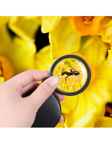 Lupa de Bolsillo 20X Psyqtsuary con Funda Protectora Negra