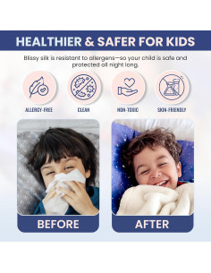 Funda de Almohada de Seda Blissy Estándar 20x26 cm Cielo Nocturno 2