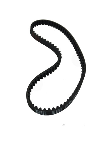 Correa Bissell 2037460 para Limpiadora de Alfombras Big Green