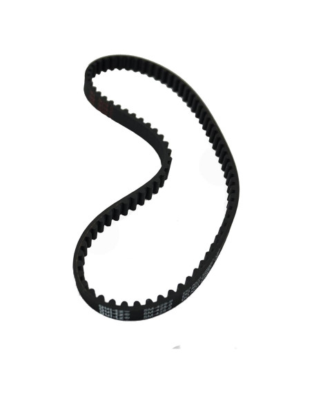 Correa Bissell 2037460 para Limpiadora de Alfombras Big Green