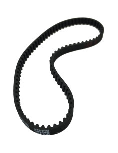 Correa Bissell 2037460 para Limpiadora de Alfombras Big Green 2