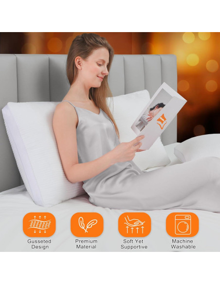 Almohadas AIAEL Queen Set de 2 Microfibra Hipoalergénicas Almohadas AIAEL Queen Set de 2 Microfibra Hipoalergénicas