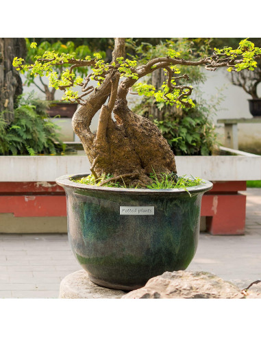 Cinta de Etiquetas Filery D1 45013 Negro sobre Blanco 12mm x 7m