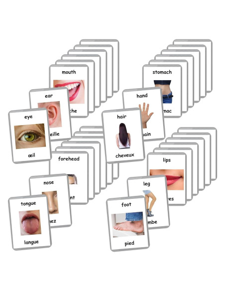 Tarjetas de Flash Bilingües Francés-Inglés LifeLoLo - Partes del Cuerpo Tarjetas de Flash Bilingües Francés-Inglés LifeLoLo - Partes del Cuerpo