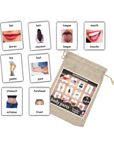 Tarjetas de Flash Bilingües Francés-Inglés LifeLoLo - Partes del Cuerpo