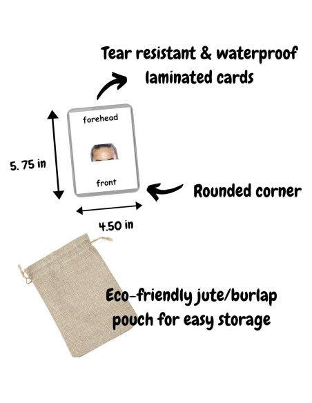 Tarjetas de Flash Bilingües Francés-Inglés LifeLoLo - Partes del Cuerpo Tarjetas de Flash Bilingües Francés-Inglés LifeLoLo - Partes del Cuerpo