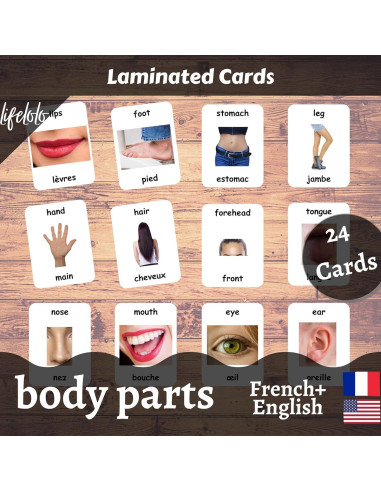 Tarjetas de Flash Bilingües Francés-Inglés LifeLoLo - Partes del Cuerpo
