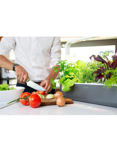 Kit Jardín Inteligente Click & Grow 9 Cápsulas Gris