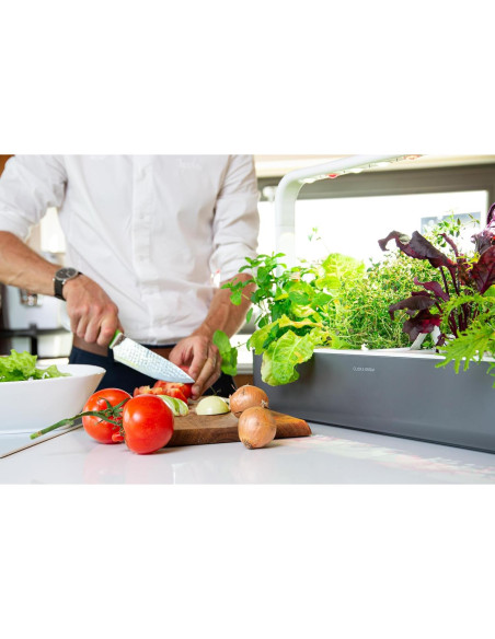 Kit Jardín Inteligente Click & Grow 9 Cápsulas Gris