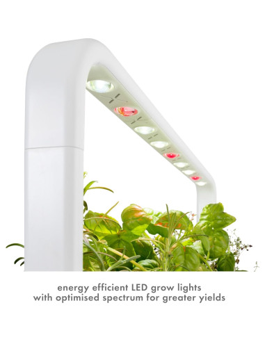 Kit Jardín Inteligente Click & Grow 9 Cápsulas Gris