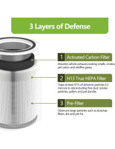 Filtro de Reemplazo HEPA 3-en-1 LEVOIT Core 300 - Carbón Activado 2