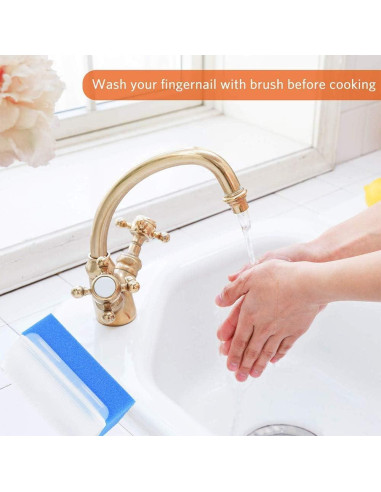 Esponjas de Exfoliación ARGOMAX - Paquete de 6 Unidades