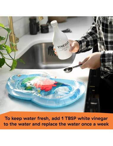 Silla Alta Plegable Baby Einstein Exploradores del Océano 2 en 1