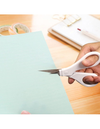 Juego de herramientas de deshierbe 6 piezas gris RELIABL