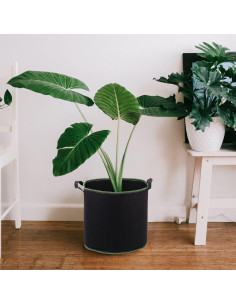 Bolsas de Crecimiento de Plantas DOITOOL 5 Unidades 28cm 2