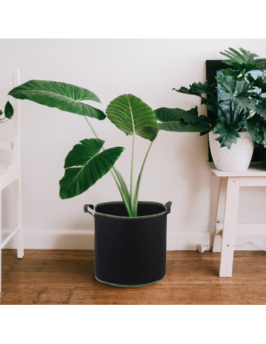 Bolsas de Crecimiento de Plantas DOITOOL 5 Unidades 28cm