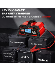 Cargador de Batería Inteligente 25A Yinleader 12V/24V 2