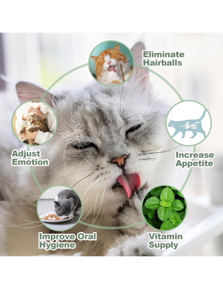 6 Pelotas de Hierba Gatera BluGun + Peine para Gato