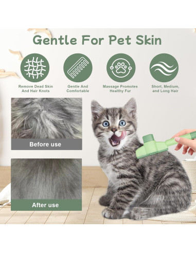 6 Pelotas de Hierba Gatera BluGun + Peine para Gato