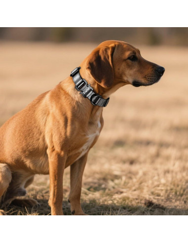 Collar de Cuero para Perro Zowpet con Soporte AirTag Negro M