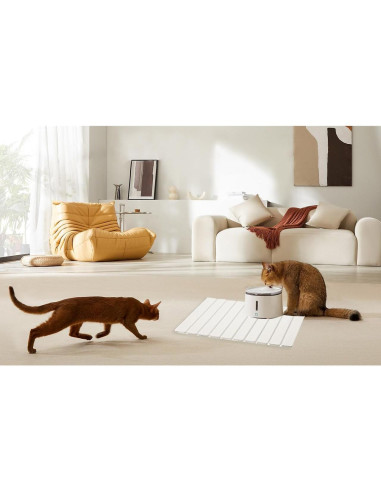 Alfombrilla de Secado de Piedra Diatomácea Kneejoys 61x39 cm