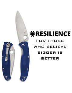 Cuchillo Plegable Spyderco Resilience S35VN 10.8 cm Azul 2