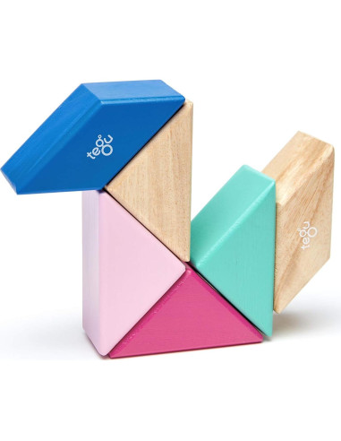 Juego de Bloques Magnéticos Tegu Floración - 6 Piezas