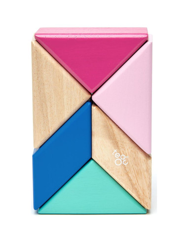 Juego de Bloques Magnéticos Tegu Floración - 6 Piezas