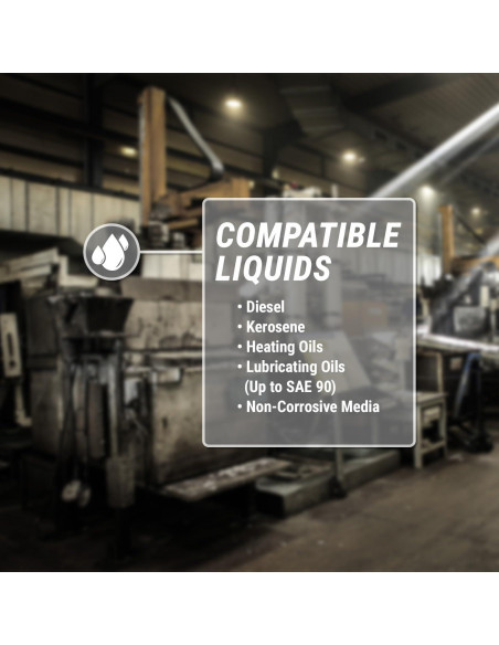 Bomba de Drum Rotativa TERA PUMP 37.85 L/min Hierro Fundido