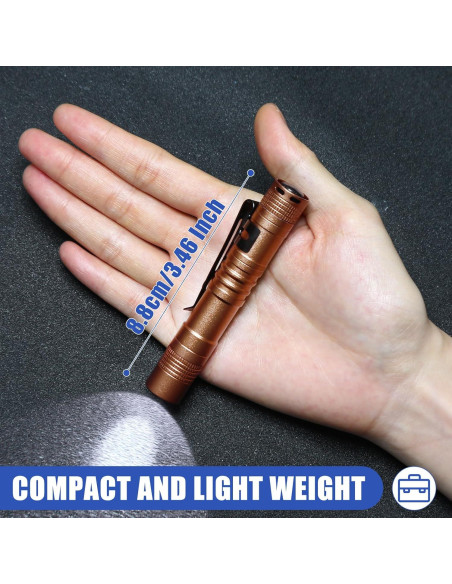 Hortsun 10 Linternas Mini LED con Clip 9 cm - Regalo Día del Padre