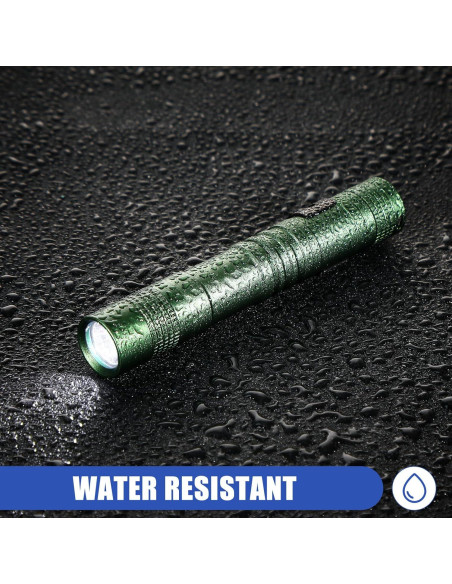 Hortsun 10 Linternas Mini LED con Clip 9 cm - Regalo Día del Padre