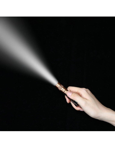 Hortsun 10 Linternas Mini LED con Clip 9 cm - Regalo Día del Padre