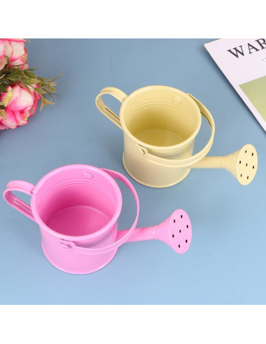 Regaderas de Metal para Niños DOITOOL 2PCS Beige y Rosa