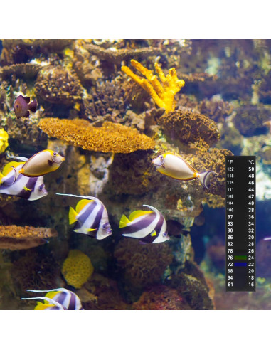 6 Tiras de Termómetro para Acuario Teaaha 9x2 cm