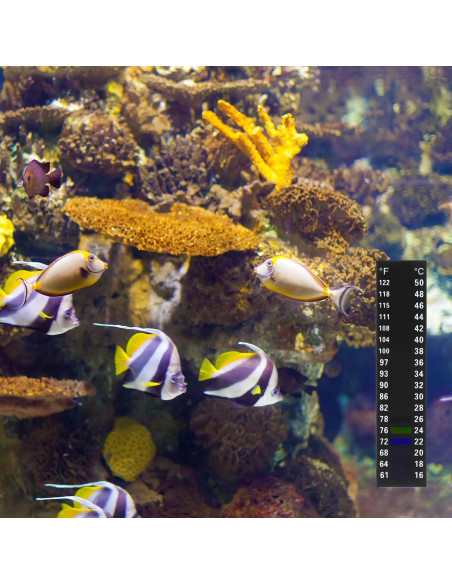 6 Tiras de Termómetro para Acuario Teaaha 9x2 cm