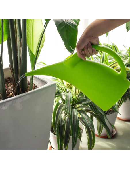 Regadera MyLifeUNIT Verde 1.89L con Cabezal Desmontable