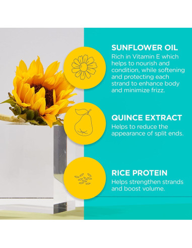 Acondicionador Brillante Andalou Naturals 321g - Girasol y Cítricos