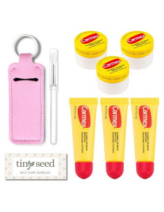 Juego de 6 Balsamos Labiales Medicados Carmex - Hidratantes